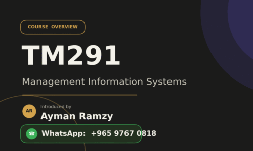 TM291 Information System